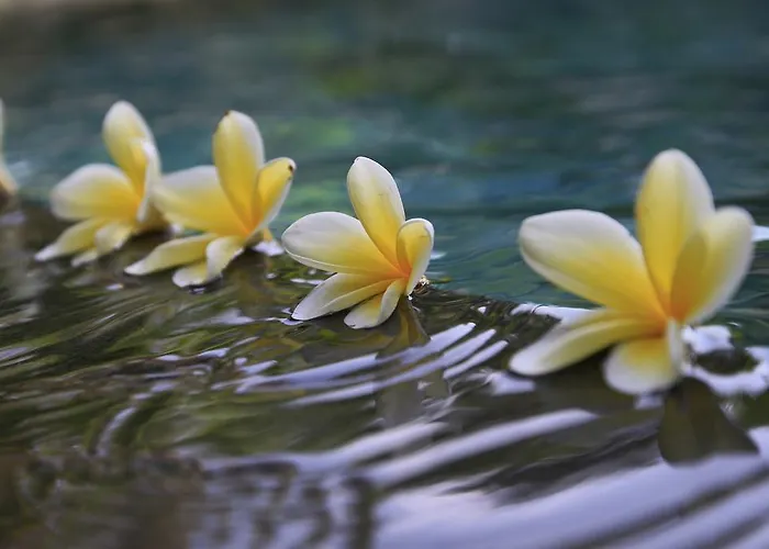 Syailendra Villa Ubud