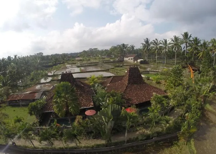 Syailendra *