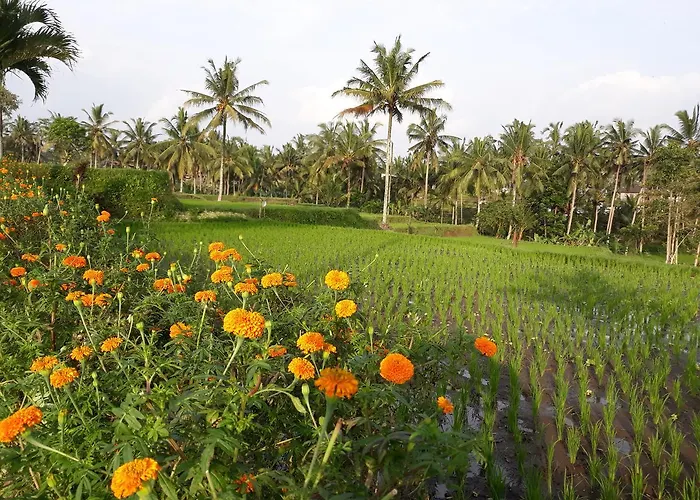 Villa Syailendra